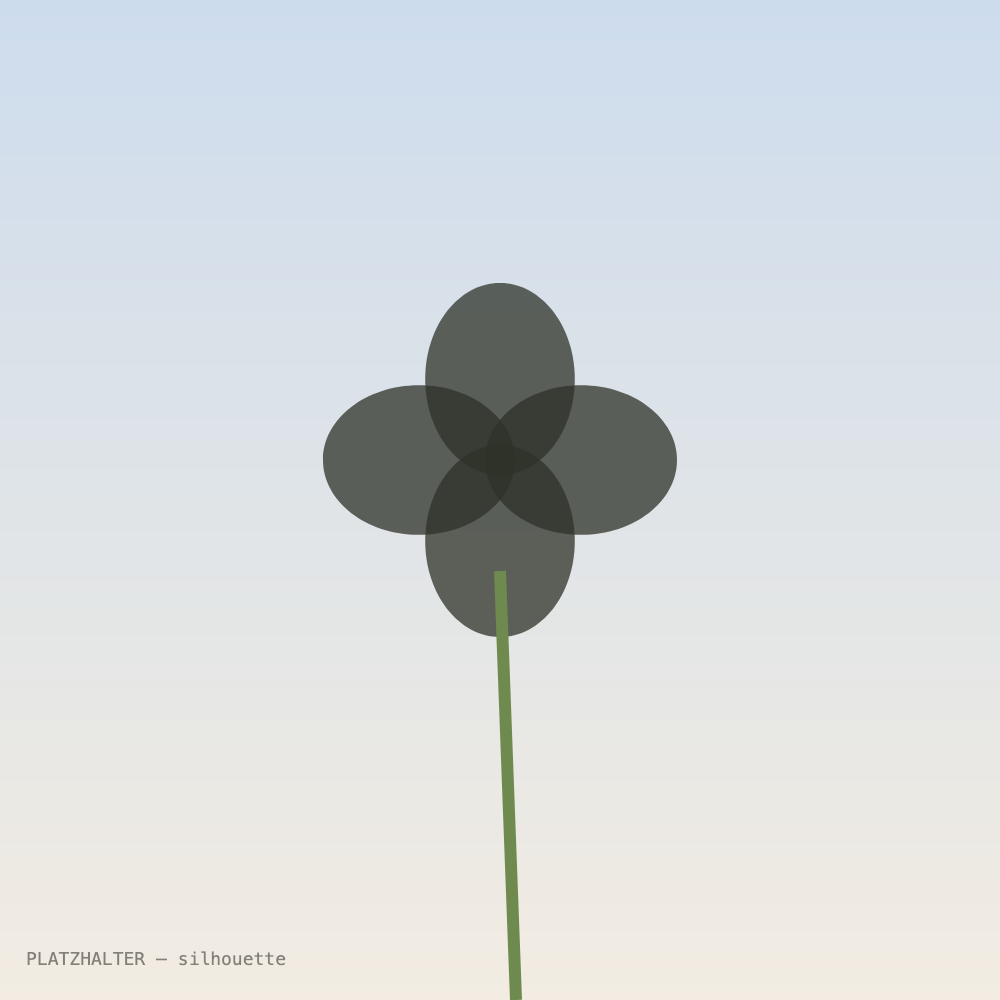 The silhouette of a poppy.